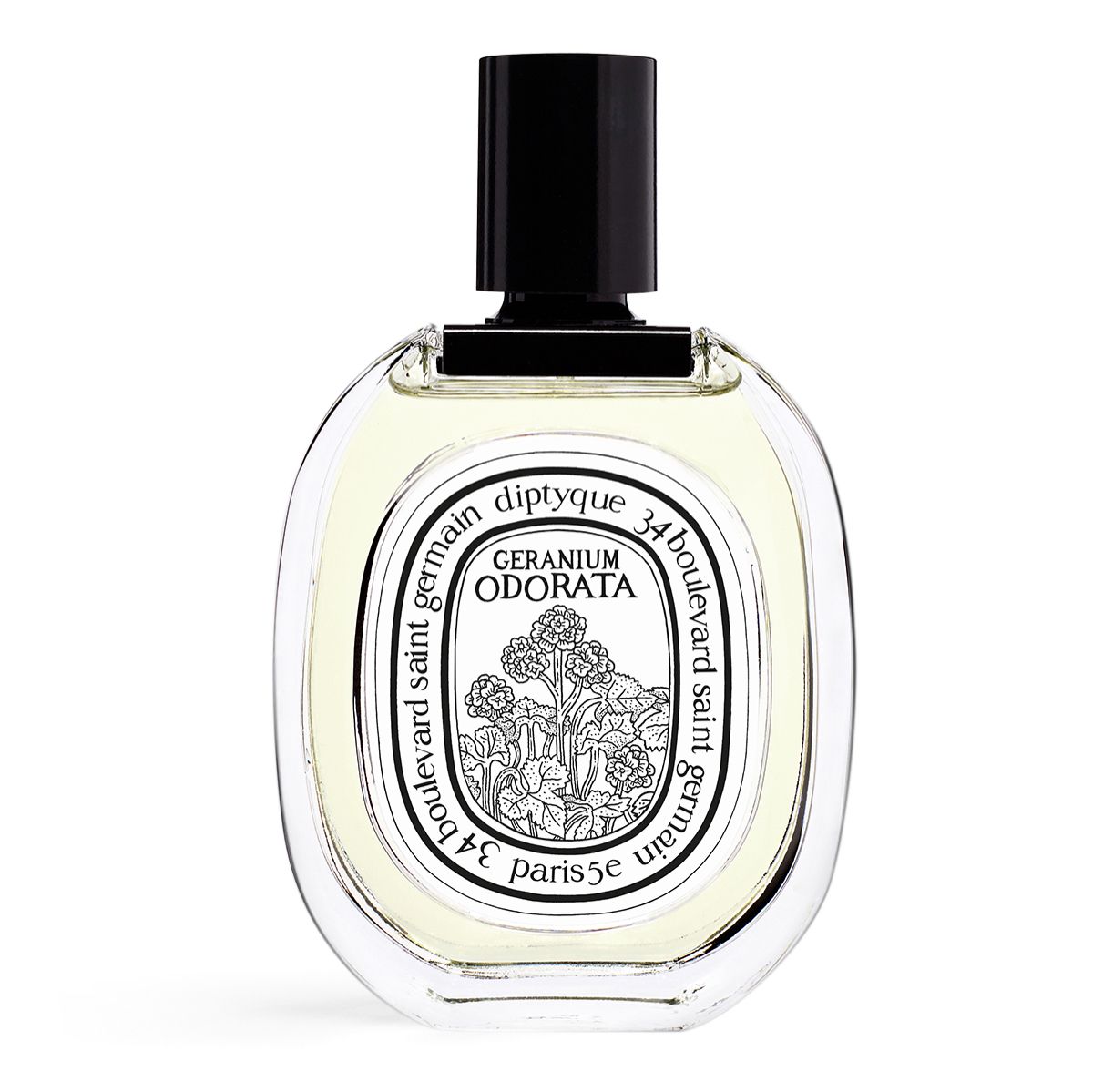 Diptyque Geranium Odorata EDT 天竺葵之水 100ml
