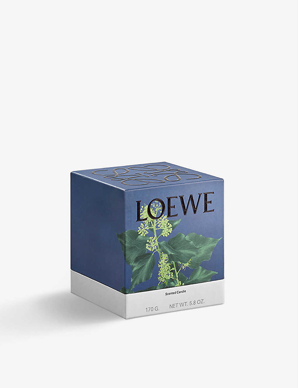 Loewe Ivy scented candle 粉紅罐常春藤 170g