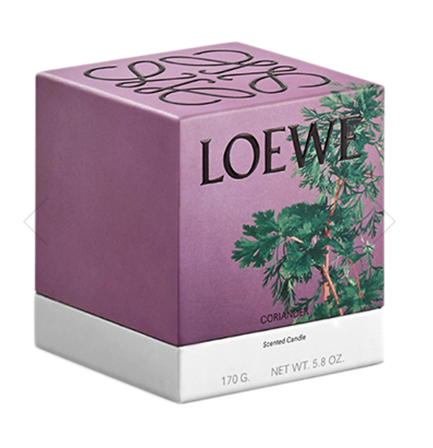 Loewe Coriander Standle candle 深棕罐香菜味 170g