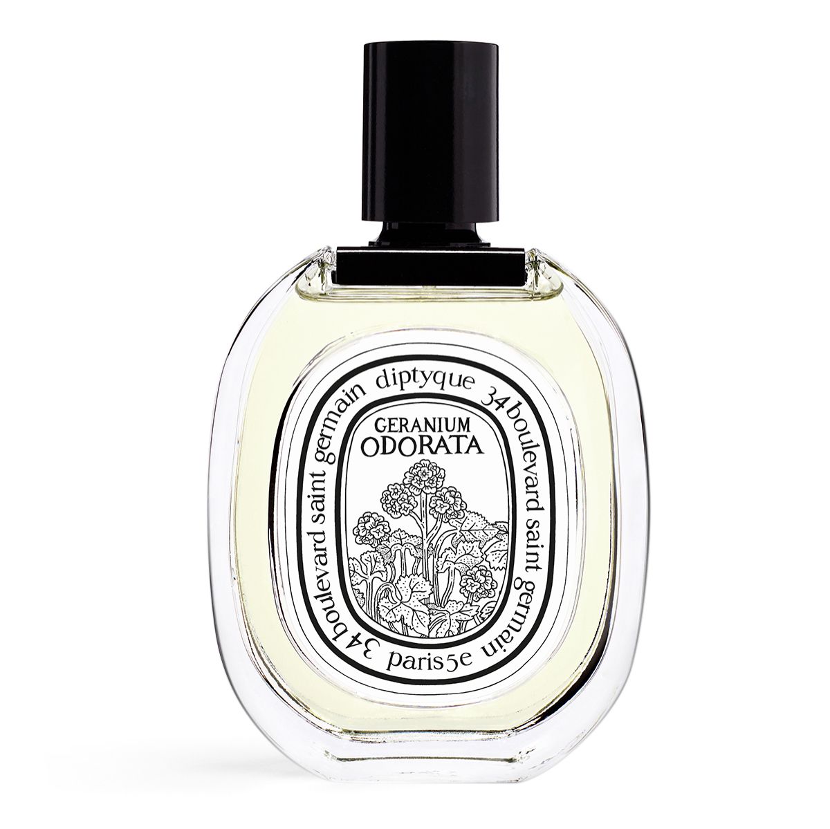 Diptyque Geranium Odorata EDT 天竺葵之水  100ml