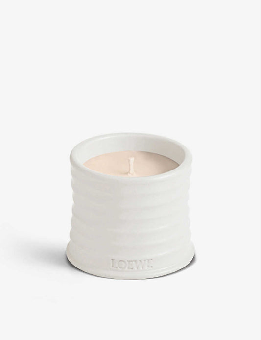 Loewe Oregano scented candle 白罐牛至味 170g
