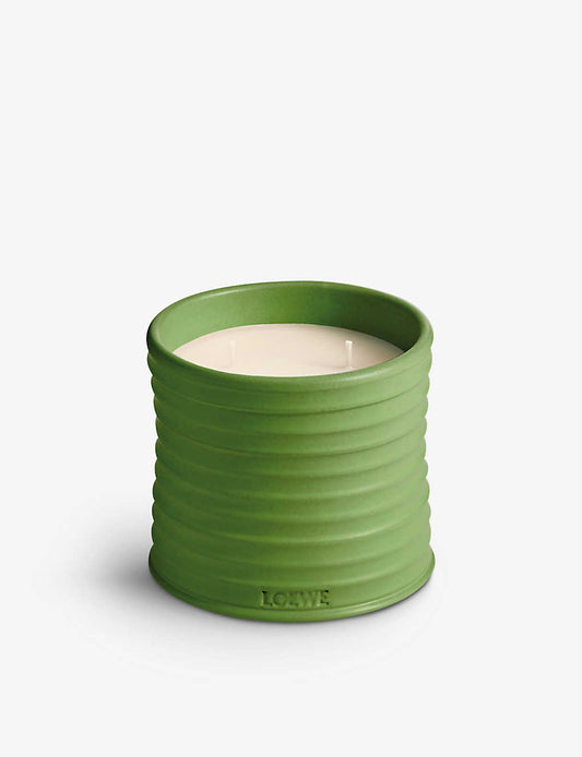 Loewe Luscious Pea scented candle 綠罐甜豌豆味 170g