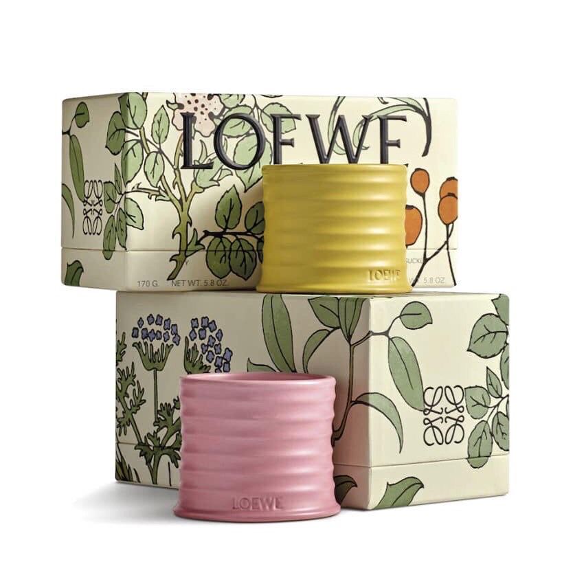 Loewe Candle Set 香薰蠟燭禮盒（金銀花、常春藤） ✨170g x 2